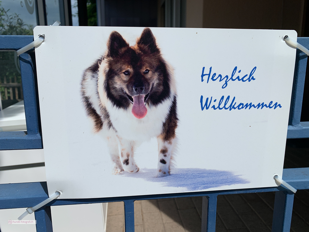 Fotoartikel von Ihren Fotos, individuell und einzigartig